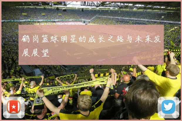 鹤岗篮球明星的成长之路与未来发展展望
