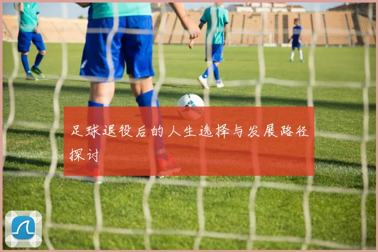足球退役后的人生选择与发展路径探讨