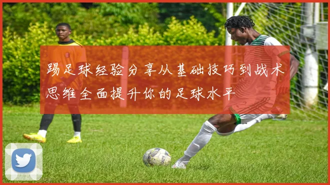 踢足球经验分享从基础技巧到战术思维全面提升你的足球水平