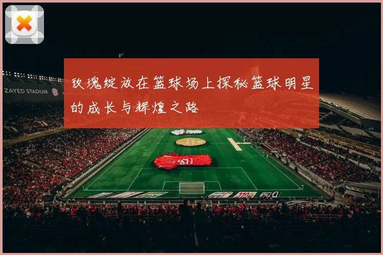 玫瑰绽放在篮球场上探秘篮球明星的成长与辉煌之路
