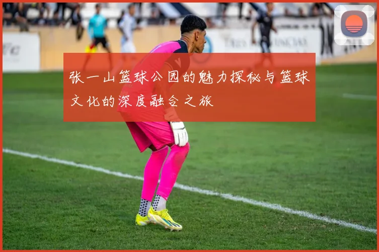 张一山篮球公园的魅力探秘与篮球文化的深度融合之旅
