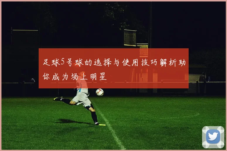 足球5号球的选择与使用技巧解析助你成为场上明星